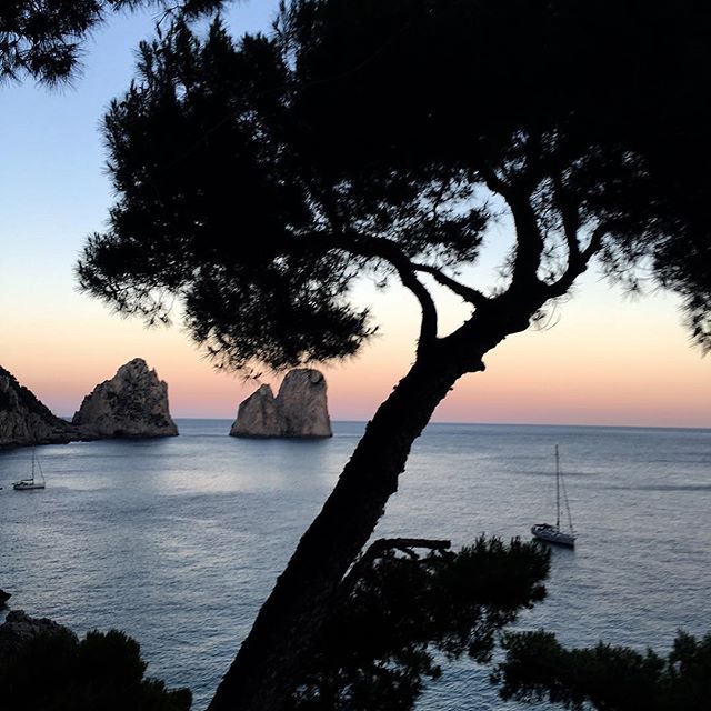 Capri!