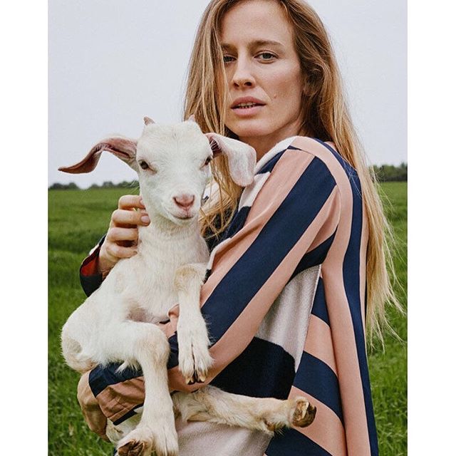 Stella McCartney-гийн ноолуур Монголын байгальд санаа тавьж байна. Хэрхэн гэдгийг www.buro247.mn-c.

Stella McCartney s cashmere is taking care of Mongolia s nature. Read the whole article on www.buro247.mn

#cashmere #mongoliancashmere #nature #stellamccartney