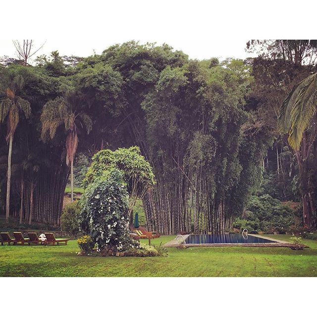 Ceylon Tea Trails #Hatton #SriLanka   