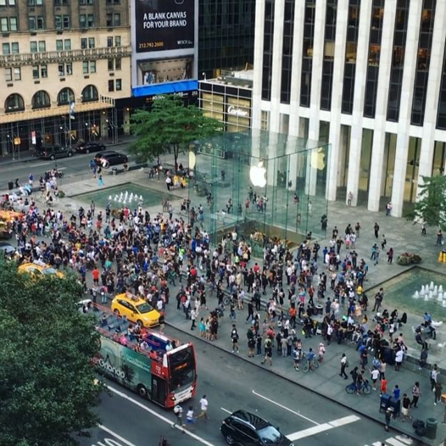 Pokemon Go madness