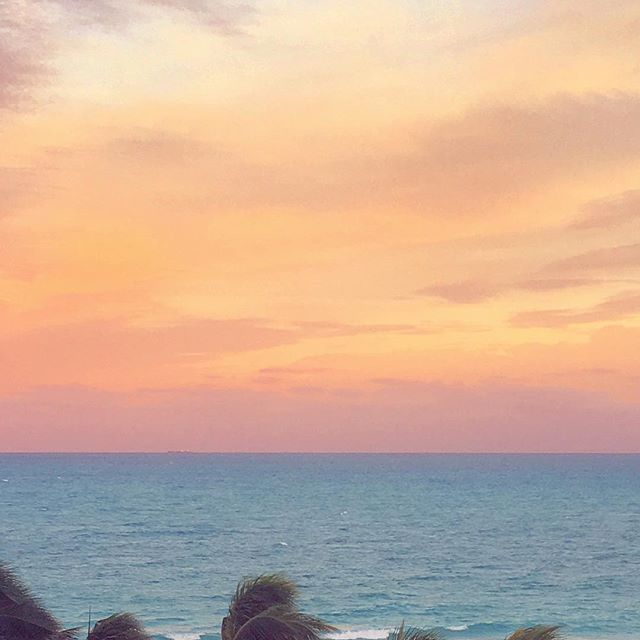 Current view