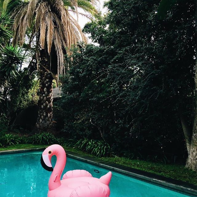 Sunday mood.
