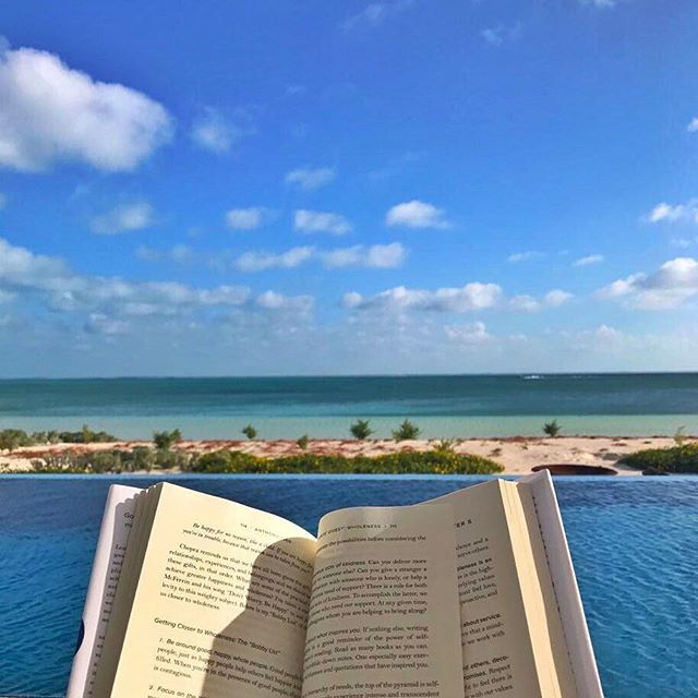 A good book  nature  recharging     Um bom livro natureza recarregando