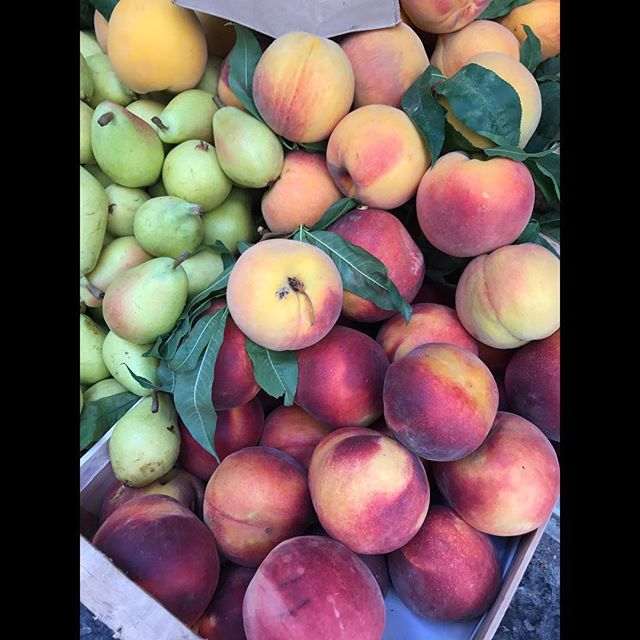 Love the colors!