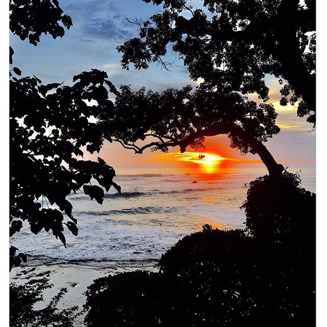 ROI SOLEIL.
@Gisele 
#SolarEclipse #MarioTestino