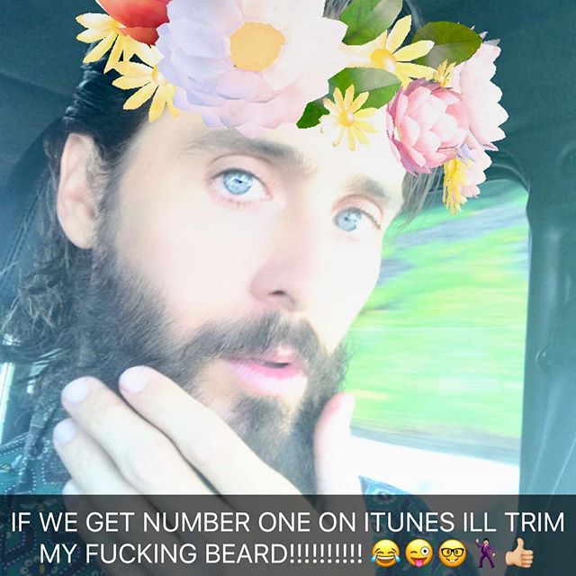 OK FINE - IF WALK ON WATER GETS TO NUMBER ONE ON ITUNES ILL TRIM MY FUCKING BEARD    maybe....   should I?!  