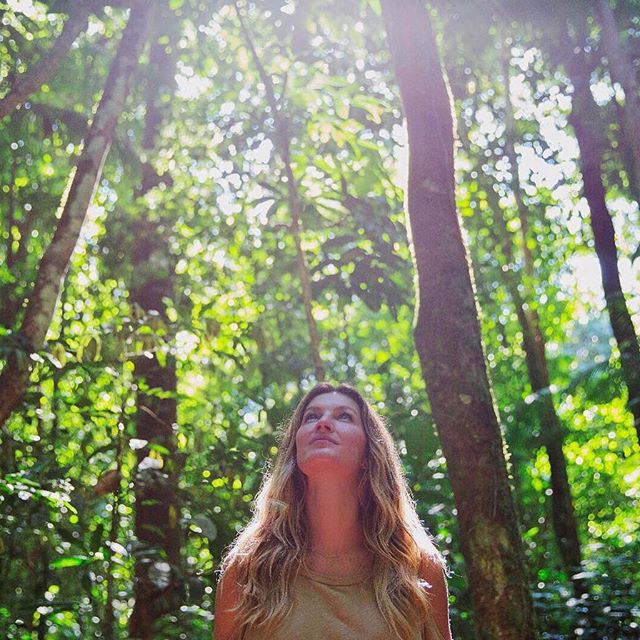 The Amazon forest helps maintain the balance so life can continue on our planet. It s our duty to protect it. Our lives depend on the health of our planet. #weareone #togetherfortheamazon    A Floresta Amazônica ajuda a manter o equilíbrio para que a vida possa continuar em nosso planeta. É nosso dever protegê-la. Nossa vida depende da saúde do nosso planeta. #somosum #todospelaamazonia