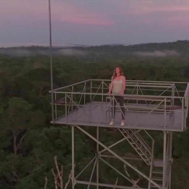 A floresta Amazônica tem um papel fundamental no equilíbrio do clima na Terra e, portanto, na vida de cada um de nós. Nos últimos anos a proteção diminuiu e o desmatamento aumentou drasticamente. E o que já era ruim, pode ficar ainda pior. Se as medidas que o governo vem tomando não forem vetadas, nosso futuro estará ameaçado. Diga NÃO à diminuição da proteção da Floresta do Jamanxim! Diga NÃO à exploração de minério no coração da floresta! #TodosPelaAmazônia #342Amazonia #TodosPelaAmazonia Assine a petição: link na bio.       
The Amazon Rainforest plays a key role in balancing the climate on the Earth and therefore in each of our lives. In recent years, protection has decreased and deforestation has increased sharply. And what was already bad can get even worse. If the measures that the government has been taking are not vetoed, our future will be threatened. Say NO to the reduction of the Jamanxim Forest s protection! Say NO to ore mining in the heart of the Forest! #togetherfortheAmazon