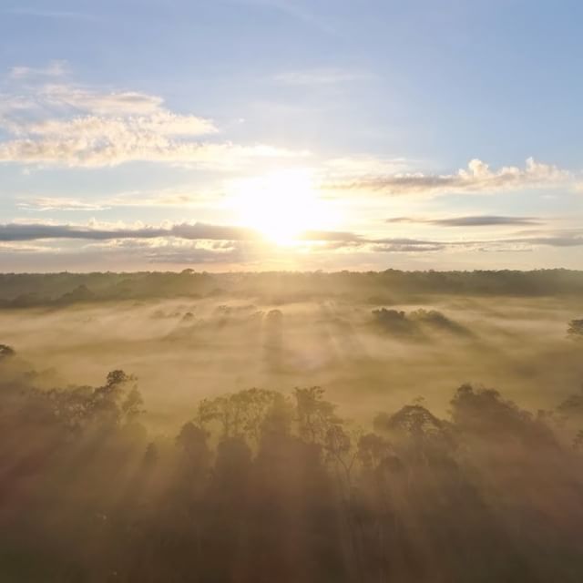 5 de setembro - dia de celebrar a Amazônia #eusouamazonia #todospelamazonia #somosum      September 5th is Amazon day #IamAmazon #togetherfortheamazon #weareone