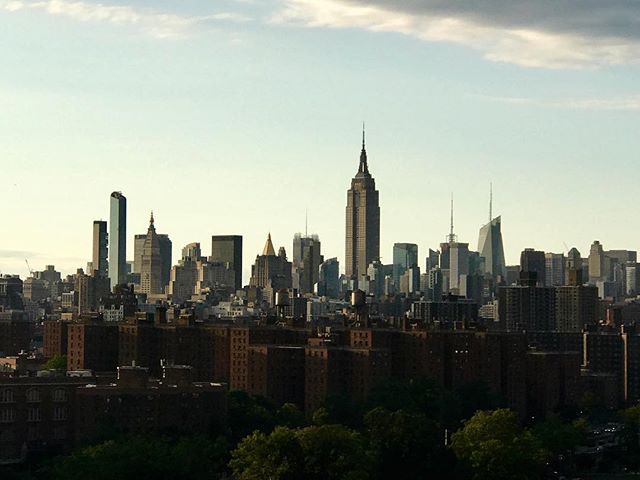 TILL NEXT TIME NY!
HASTA LA PRÓXIMA VEZ NY!
#MarioTestino