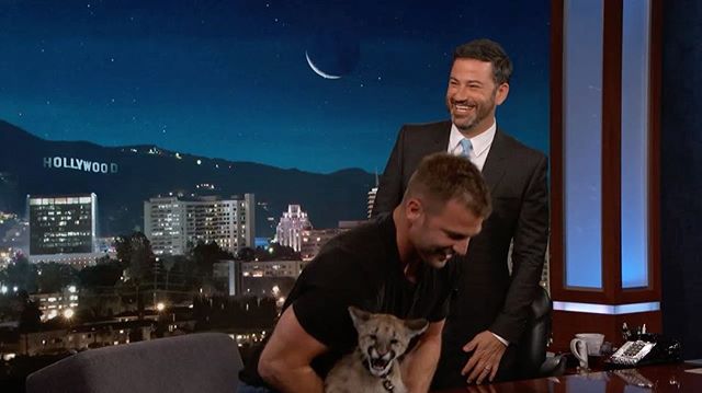 When you're terrified of wild animals & your spot gets blown up... #Kimmel @RealDaveSalmoni