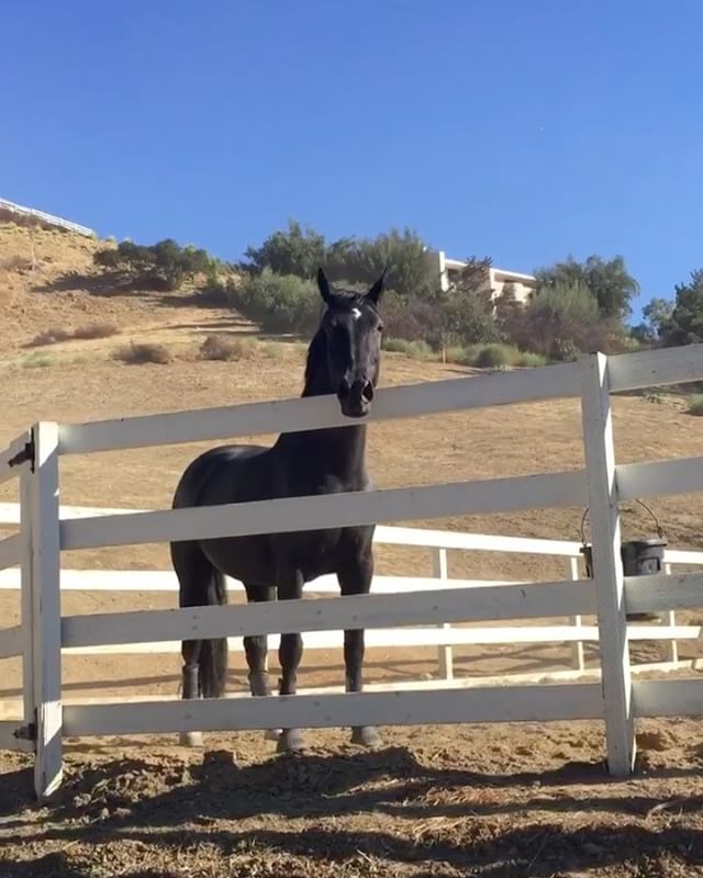 my beautiful lady