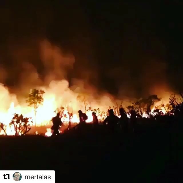 #Repost @mertalas (@get_repost)
   
 S.O.S. CHAPADA DOS VEADEIROS     PEDIMOS DOAÇÕES COM URGÊNCIA   #redecontrafogo
#salveocerrado