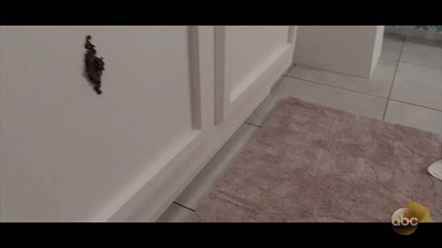 @SHAQ s new movie based on viral video  #toiletbaby *LINK IN BIO*