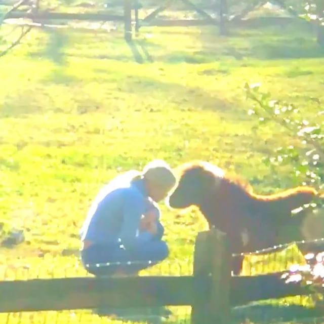Thankful for this. 
My F*cking INCREDIBLE Family (sorry baba), our beautiful animals (esp Muku) Fresh Air, Good health, Love, Friends, FOOOD and a few days of just pure time to spend.     @yolanda.hadid         