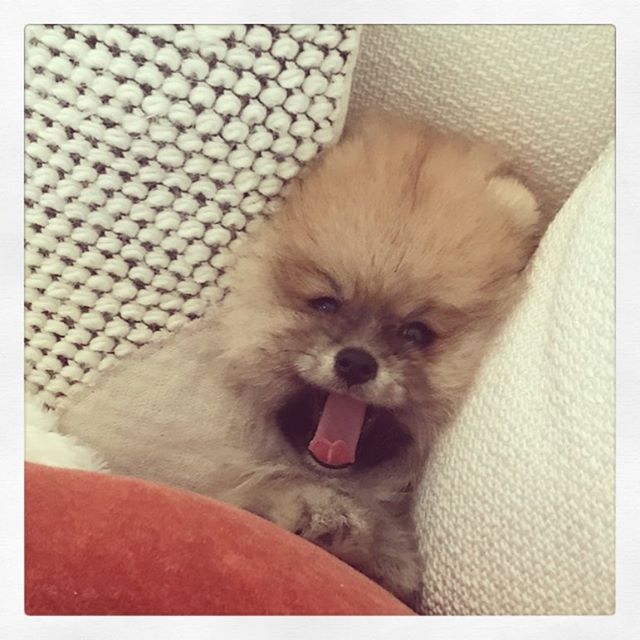Such a little cutie  