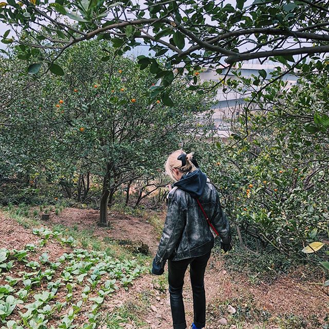 Hiking Huangyan hills to pay respects to my ancestors    在黄岩老家祭祖 