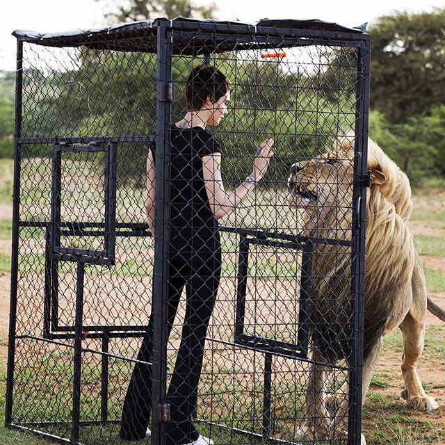 I am so humbled to have had the experience to work with such an inspiring animal up close. It really gave me a first hand experience (literally) how awful it is to be confined to a cage. A lot more to come... #rolereversal