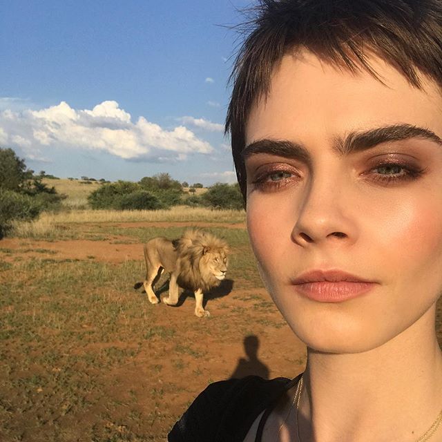 Thank you so much @tagheuer @lionwhisperersa for the most incredible experience with my favourite animals in the world. I cannot wait for you guys to see the pictures we got @davidyarrow @tagheuer       #LOVEyourself