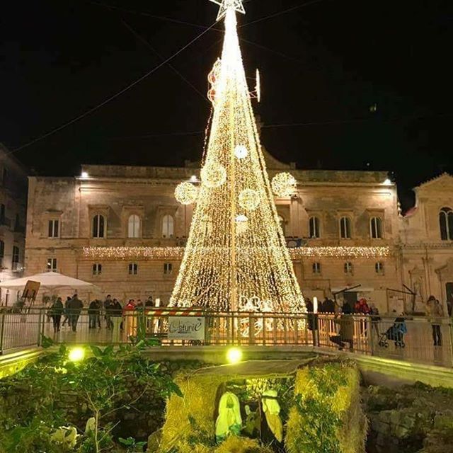 Bella Ostuni  lighting her Xmas Tree     