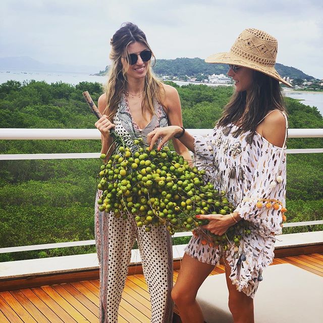 Butia ... ohhh Delícia     #braziliandays #foreveronvacation