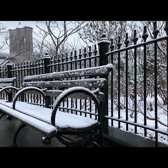   Early morning in Brooklyn       