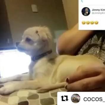     
#Repost @Cocos_Modern_Life
   
I think @JimmyKimmelLive likes me being confused by @IamGuillermo shooting web noises    @TomHolland2013  