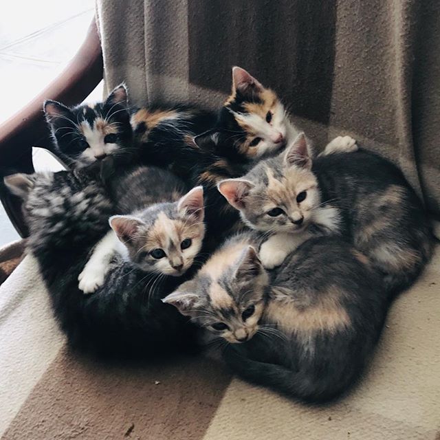 New Kids On The Block  