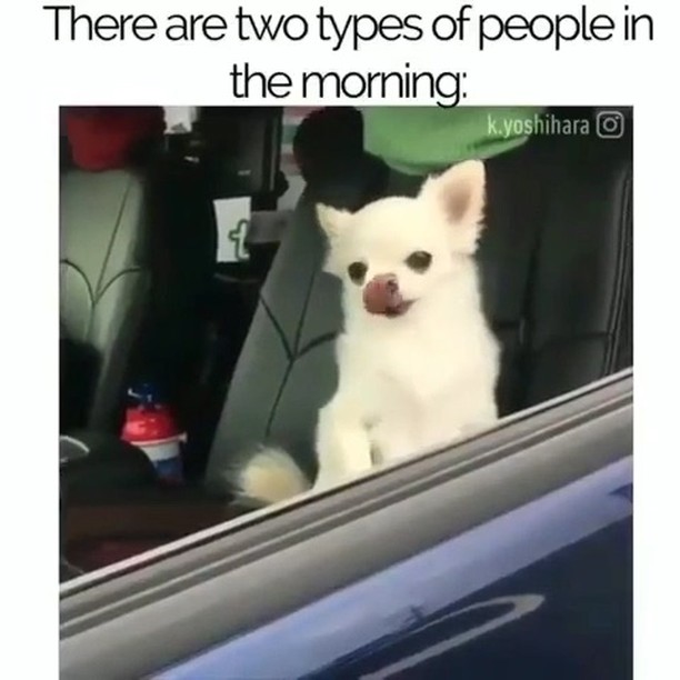 2nd  