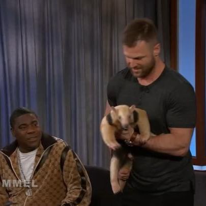 WILD animals with @RealDaveSalmoni & @RealTracyMorgan
