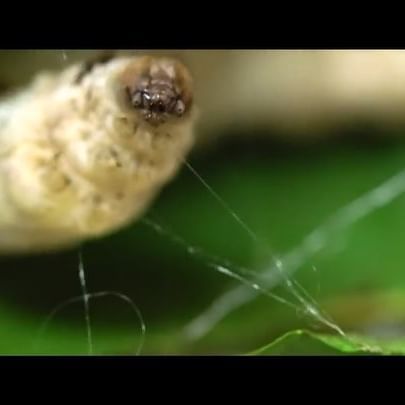 @futuretechlab Chief Innovation Officer Dr. Amanda Parkes shares how the disruptive fashion technologies and bio fabricated materials of FTL s portfolio companies are transforming the fashion industry in this exclusive film by @theeconomist