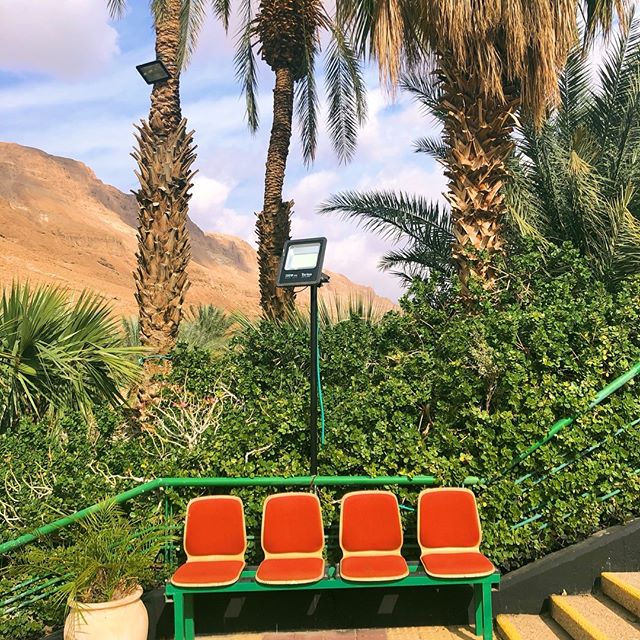 Ein Gedi