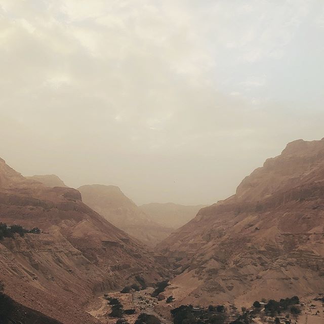 Judaean desert  