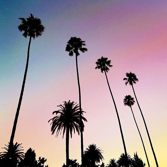 Get ready for sun, sand and endless palm trees: the Karlifornia collection has arrived!   In stores and online now. #KARLLAGERFELD