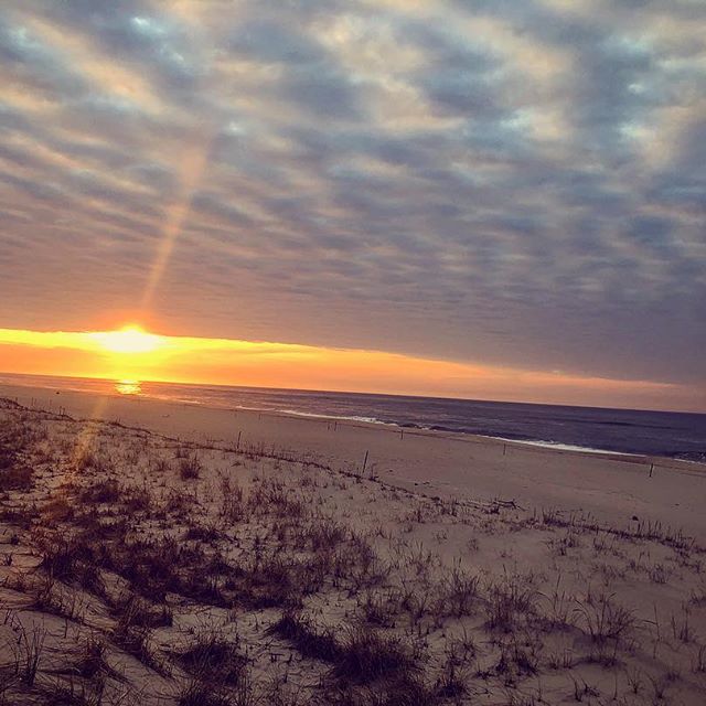 I m back, beaches!   whadimiss?