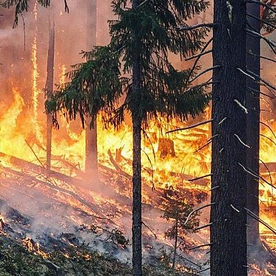 Not a typical happy beach summer 2019 post...I wish I could do more than just an Instagram post, but I m trying as much as I can... Due to the hottest month in the history of our Planet, the Arctic circle from Alaska to Siberia is burning with severe wildfires as big as 100,000 football pitches, releasing huge amount of CO2 in a month as the whole Sweden does in a year. The tremendous plams of smoke can be seen from space, polluting more and more cities in Siberia, my Motherland. Soot from the fires is settling on surrounding ice, speeding up the pace of climate change in the Arctic, which is already warming twice as fast as the rest of the world...I am really scared for the future of our species...    