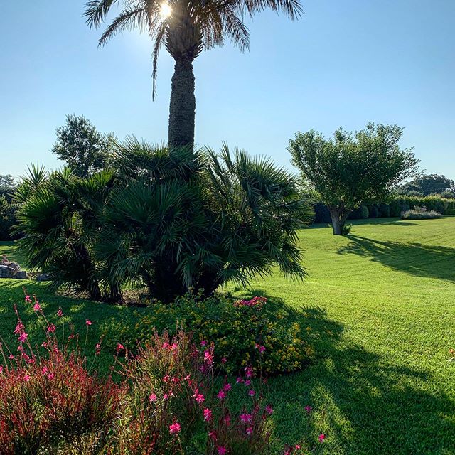 7.30am a beautiful day begins #villavillacolle   