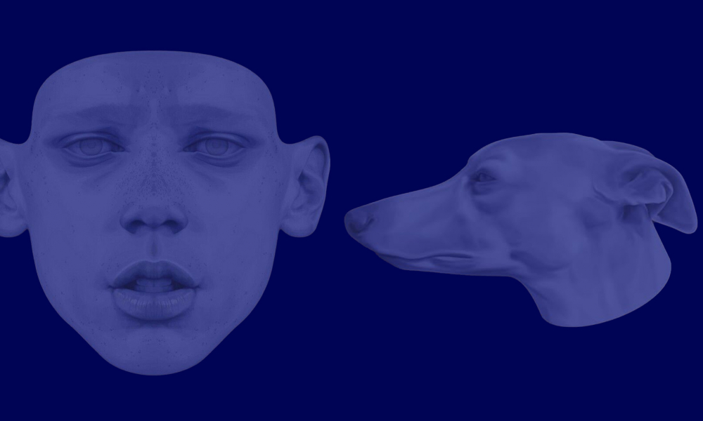 Гэрийн эзэгтэй биш гэрийн эрэгтэй нар олшрох уу?