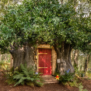Бодит амьдрал дээрх үлгэр: Английн ойд байрлах Винни-Пухын байшин