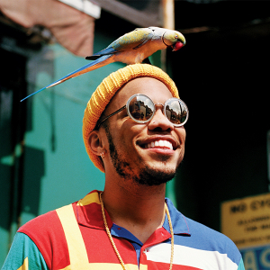 Anderson .Paak кино найруулгын дебютээ хийхээр боллоо