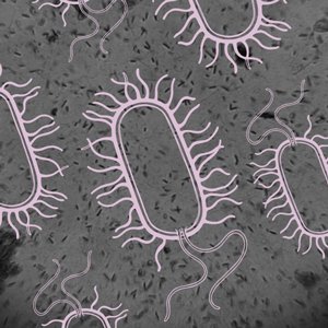 Instagram дахь шинжлэх ухаан: Микробиологи ба сансрын тухай сонирхолтой 7 хуудас