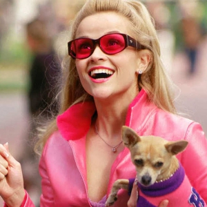 “Legally Blonde” киноны гуравдугаар анги гарна