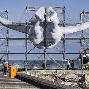 Спортын уур амьсгал: Рио-де-Жанейро дахь аварга том инсталляцууд