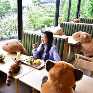 Нэгэн Япон ресторанд хүн хоорондын зайг баримтлах үүднээс ширээнүүдэд чихмэл тоглоомуудыг суулгажээ
