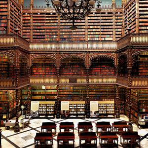 &quot;Мэдлэгийн сүм&quot; буюу дэлхийн хамгийн аугаа номын сангууд