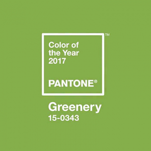 Pantone 2017 оны гол өнгийг зарлалаа