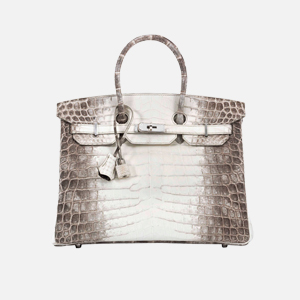 Hermès Birkin цүнх 380 мянган доллараар зарагдлаа