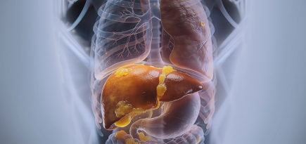 Дотор өөх: Үл үзэгдэх аюул