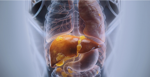 Дотор өөх: Үл үзэгдэх аюул