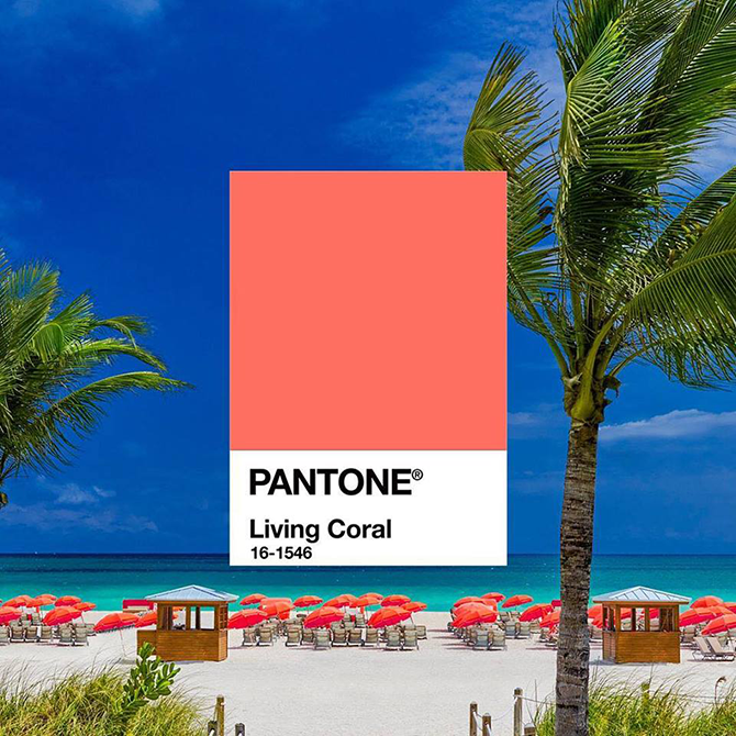 Pantone институт 2019 оны гол өнгийг зарлалаа